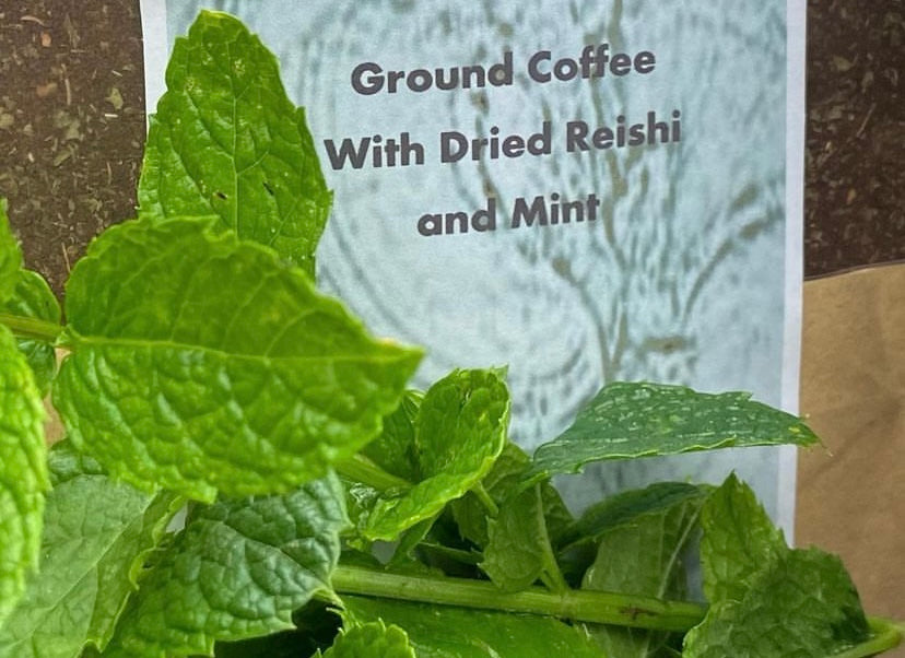 mint mushroom coffee reishi mushroom