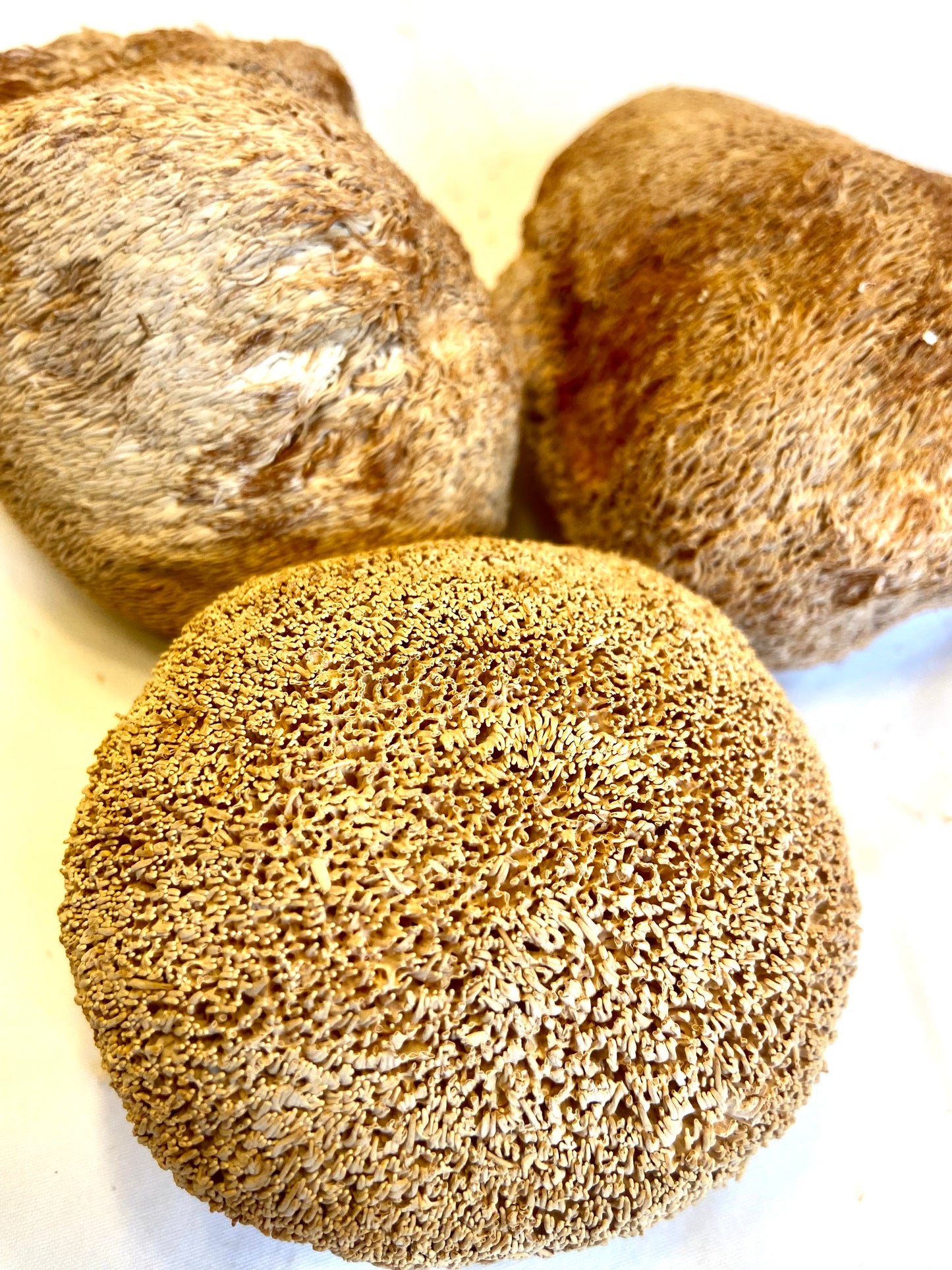 Peaceful Mind, De-Caffeinated Adaptogenic Lions Mane Mushroom Ground Coffee with Turmeric