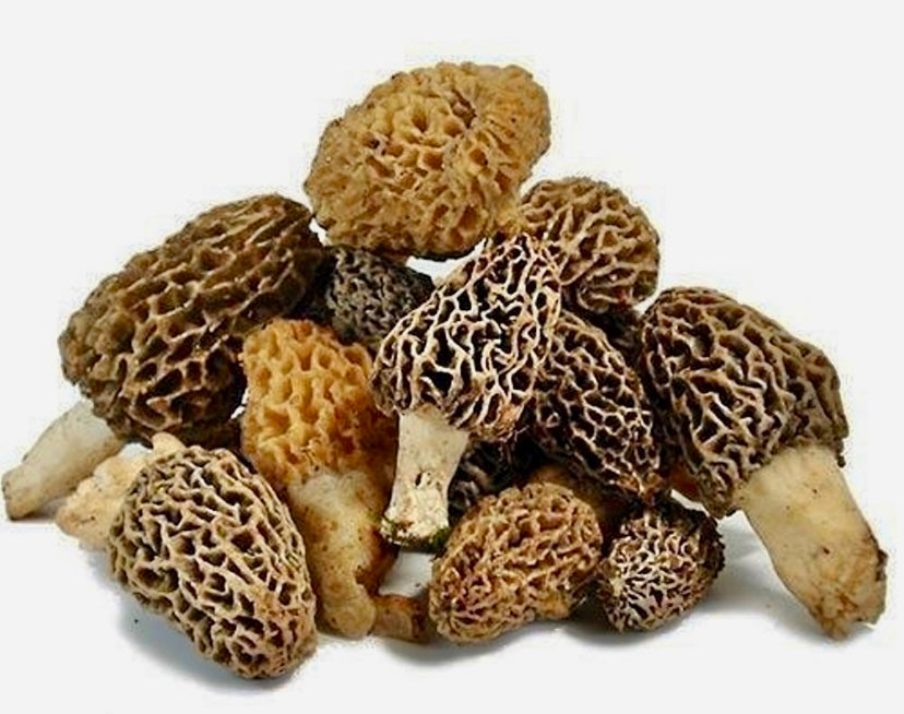 Dried Whole Morels 25g