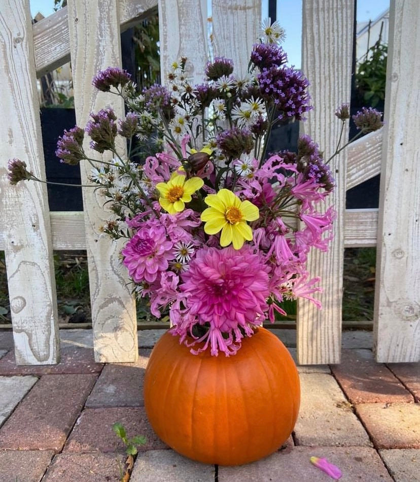 Lion's Mane Pumpkin Spice Adaptogenic Ground Mushroom Coffee