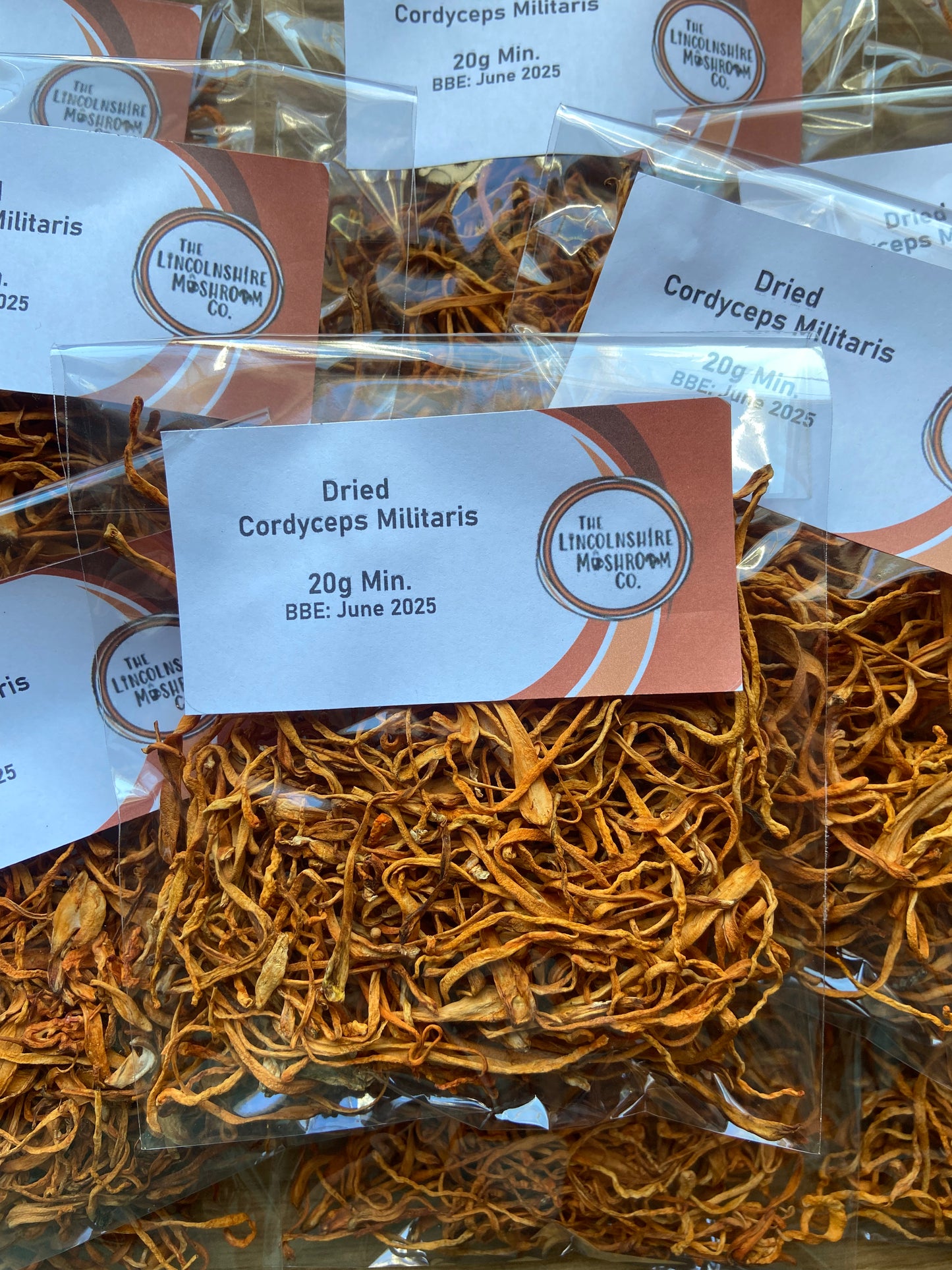 Dried Cordyceps (Cordyceps militaris)