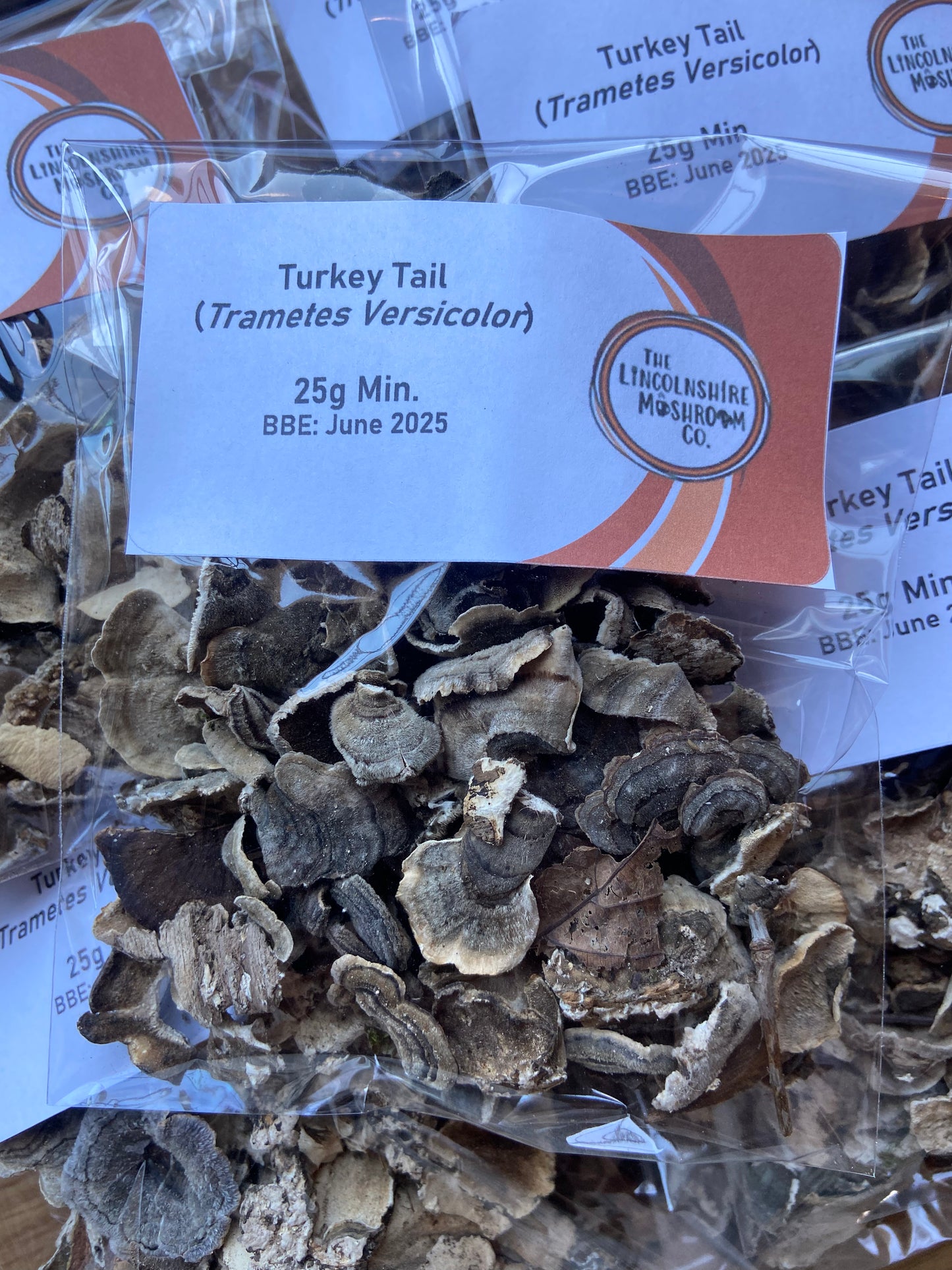 Turkey Tail (Trametes Versicolor)