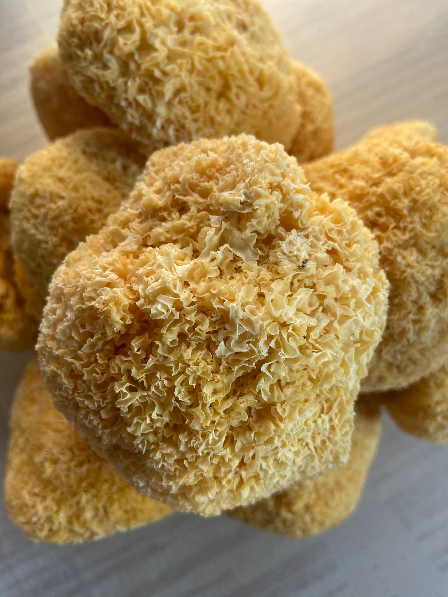 Whole Tremella White/ Snow Fungus (Tremella fuciformis)