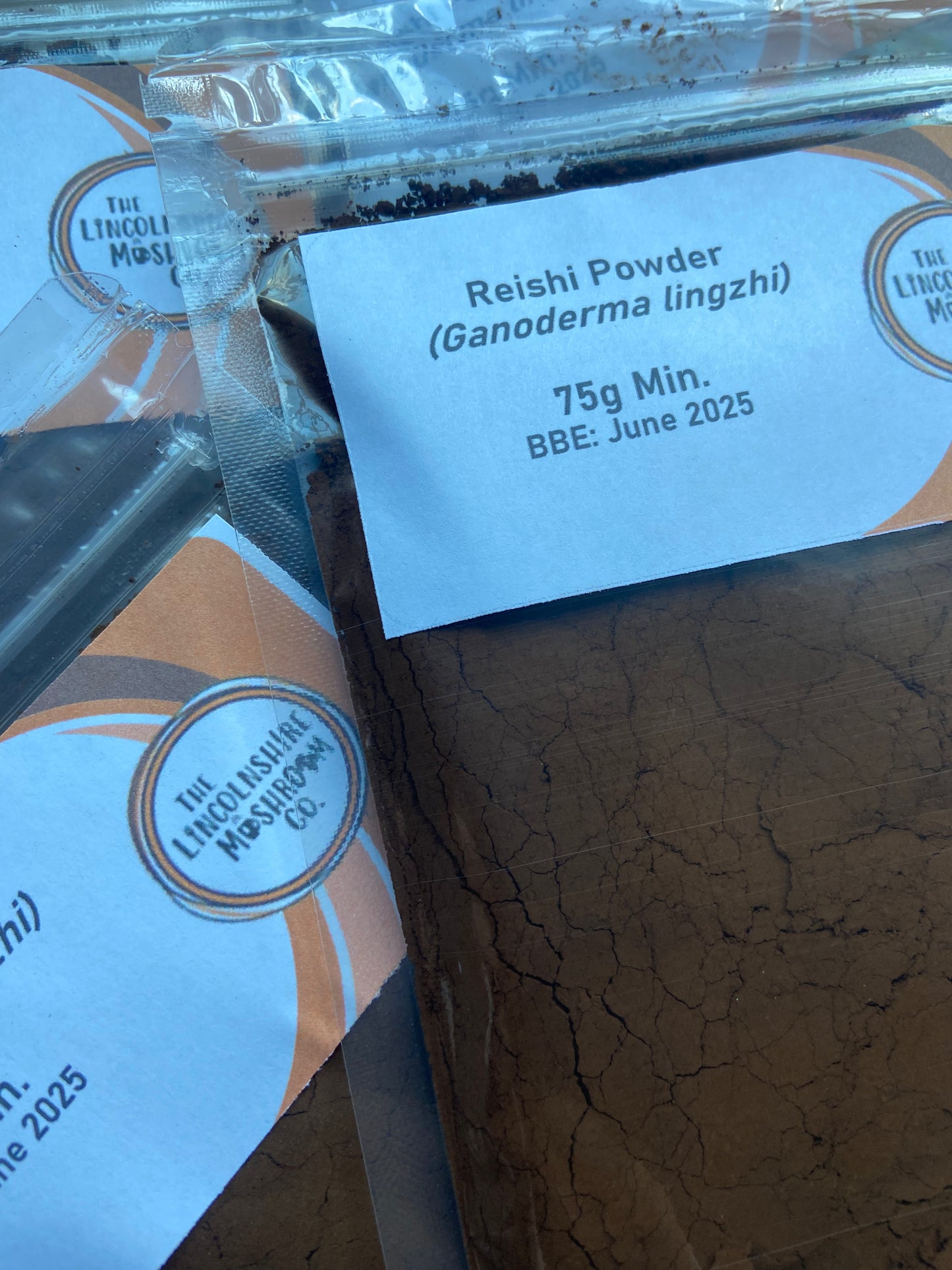 Reishi Powder (Ganoderma lucidum)