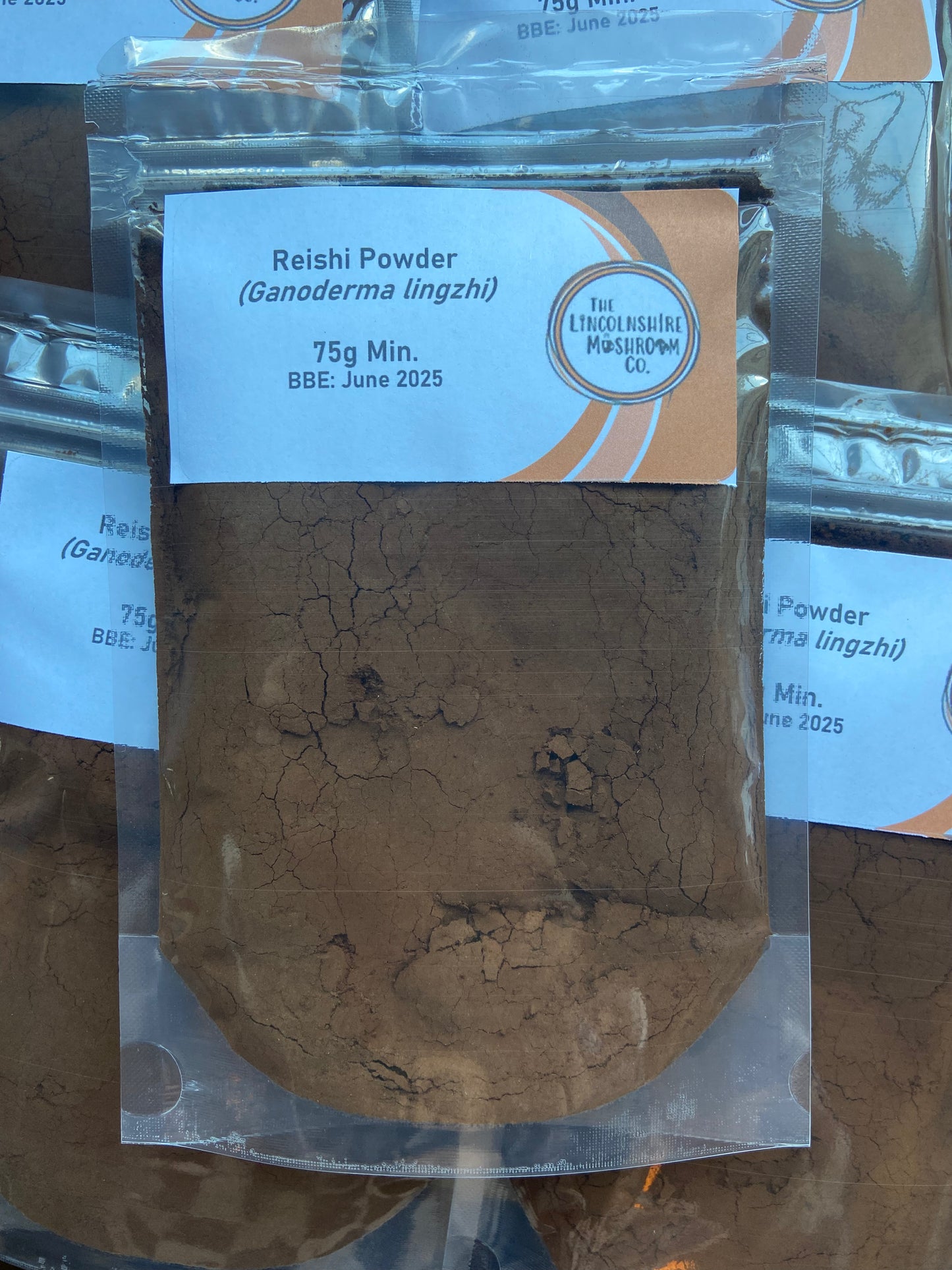 Reishi Powder (Ganoderma lucidum)