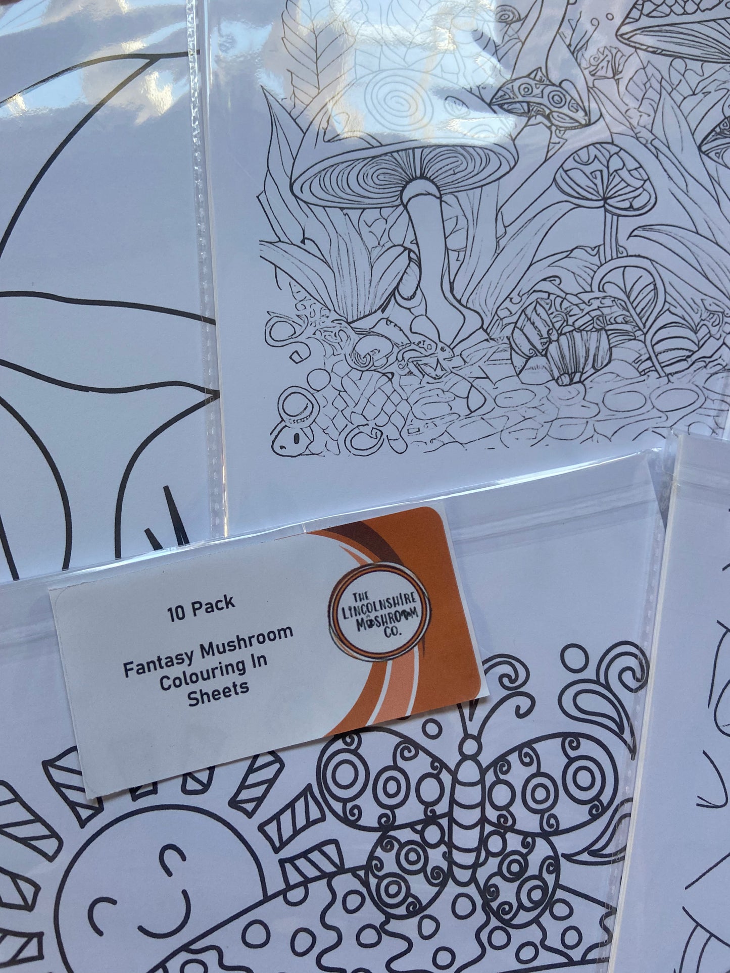 10 Pack  Fantasy Mushroom Colouring In Sheets