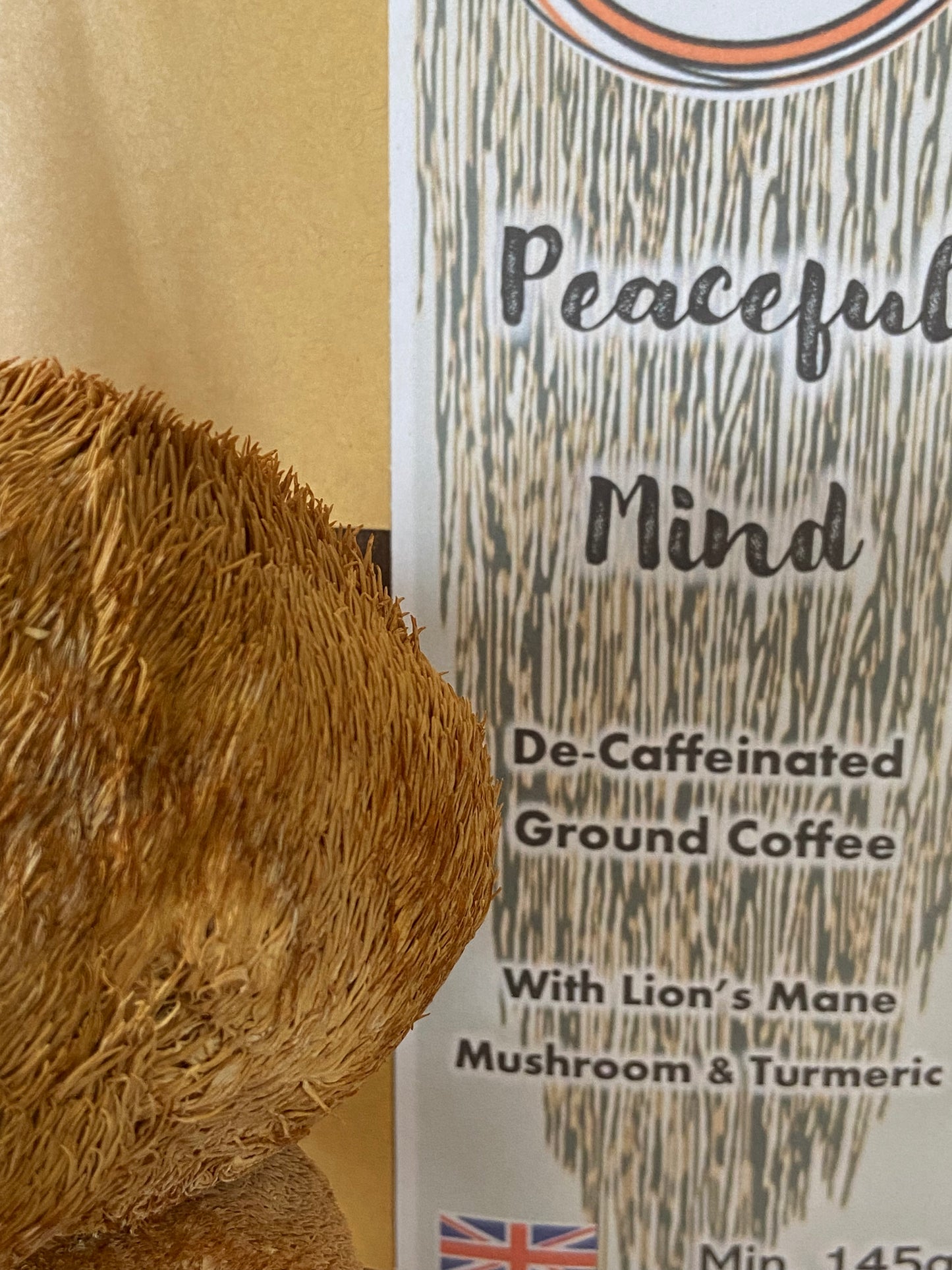 Winter Edit: Lion's Mane Wellness Bundle- Limited Availability