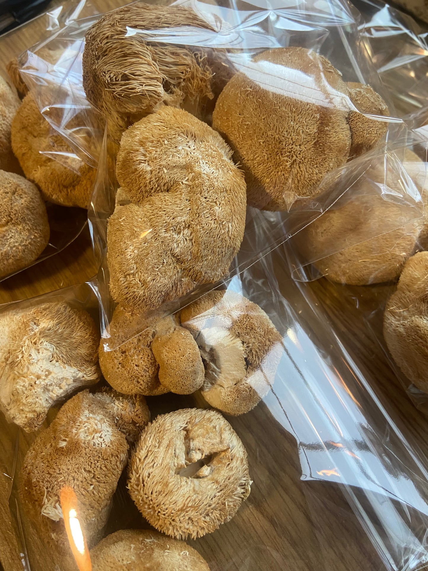 Lions Mane Mushroom Whole Heads (Hericium erinaceus)