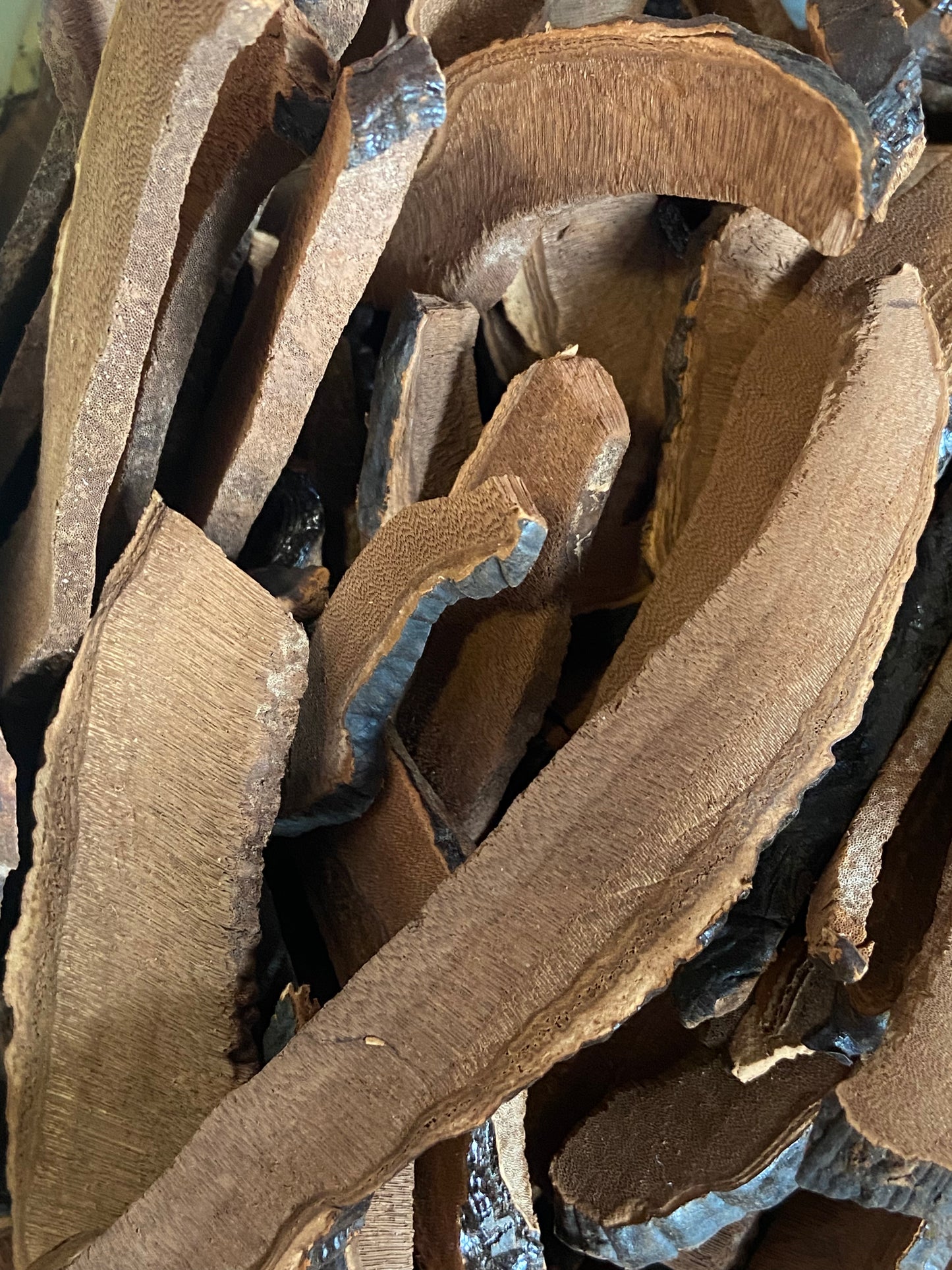 Reishi (Ganoderma Lucidum) Strips/Pieces