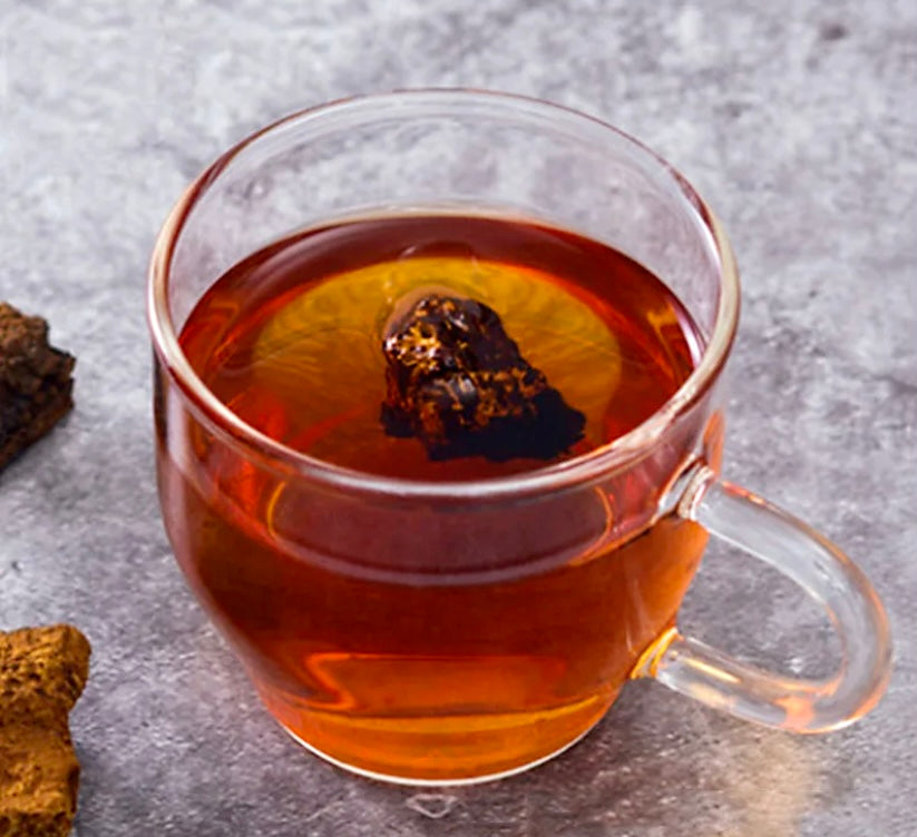 Chaga Chunks (Inonotus obliquus)