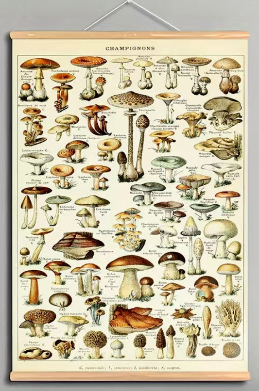 Vintage Style Mushroom Wall Hanging Canvas