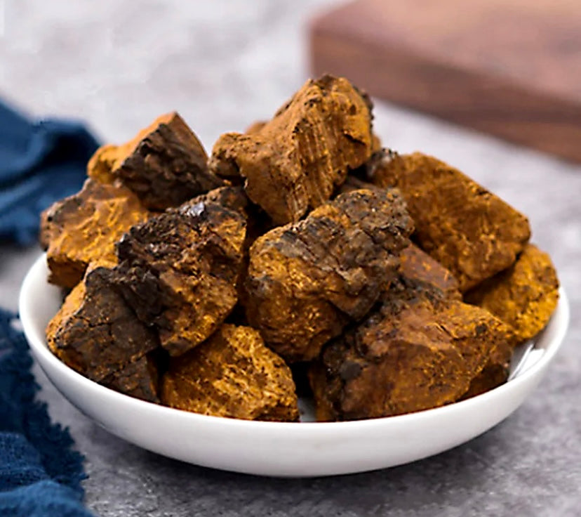 Chaga Chunks (Inonotus obliquus)