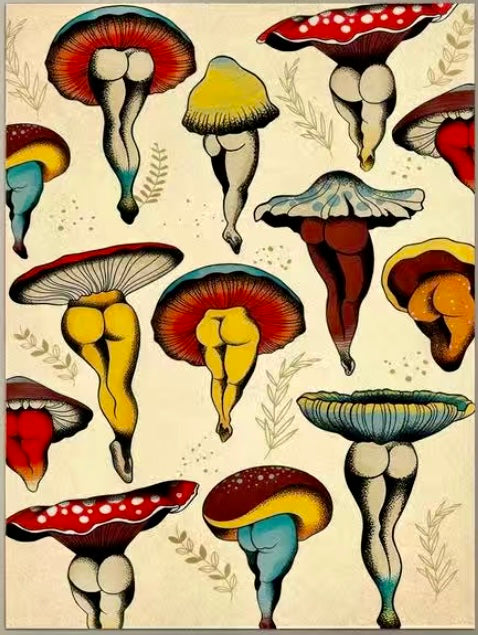 Sexy Lady Mushrooms Trippy Canvas Wall Hanging