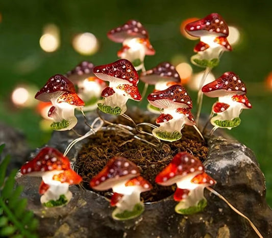 Fairy String Lights x20