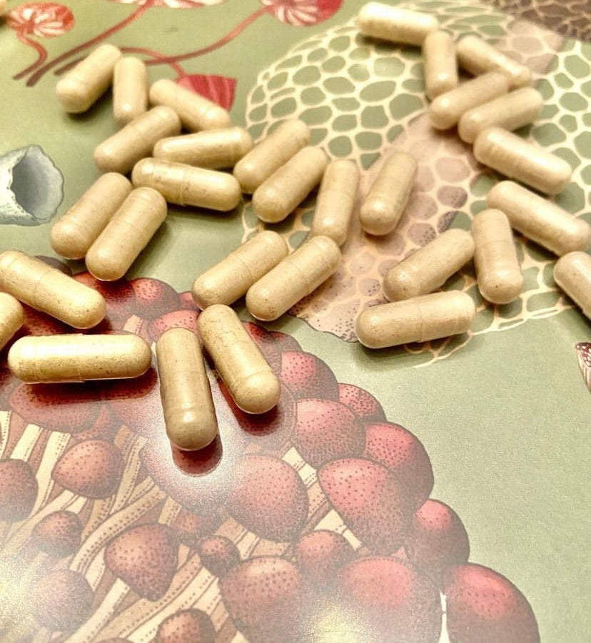 Reishi High Strength 1500mg Capsules- 30 pack