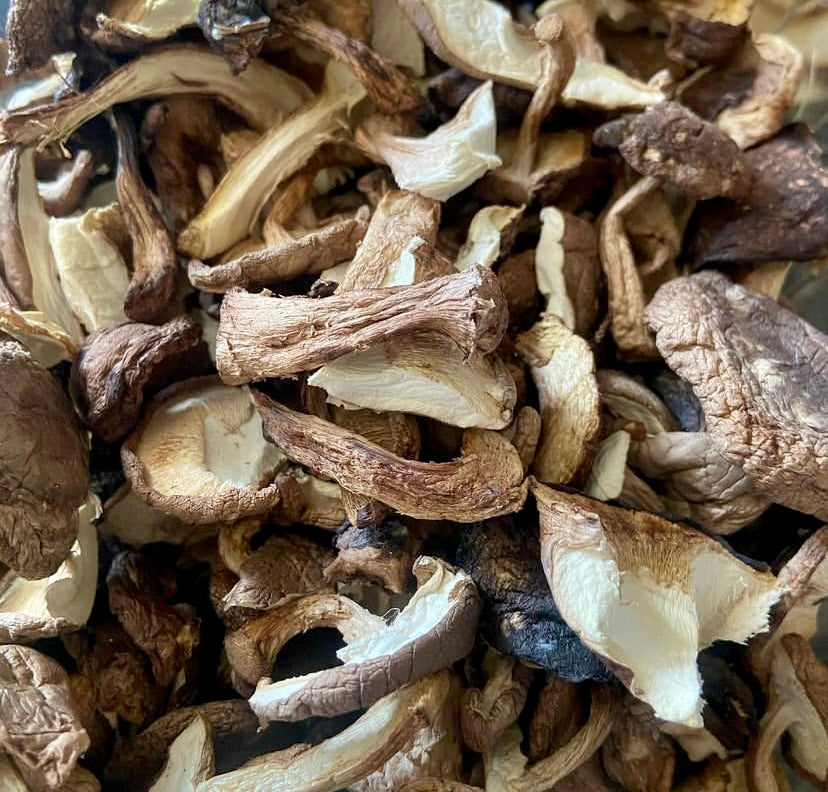 7- Blend Dried Wild Gourmet Mushroom Mix 45g (SHORT DATED