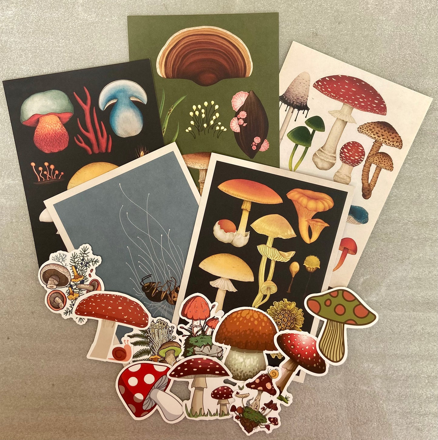 Mushroom Postcards & Stickers Pack