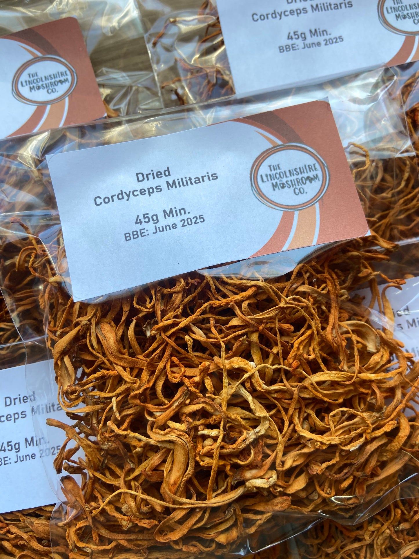 Dried Cordyceps (Cordyceps militaris)