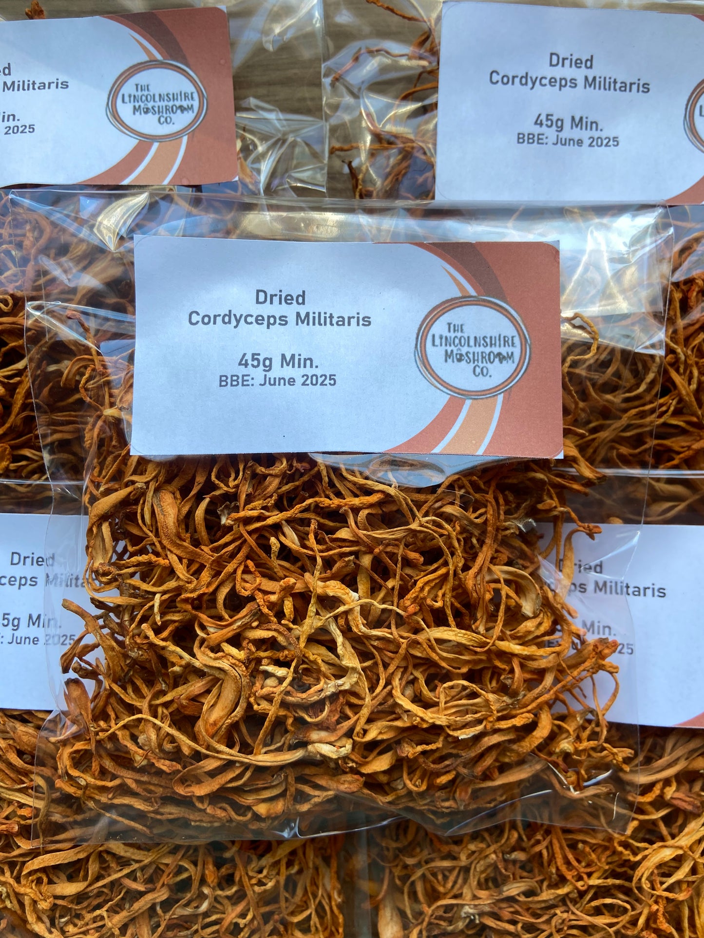 Dried Cordyceps (Cordyceps militaris)