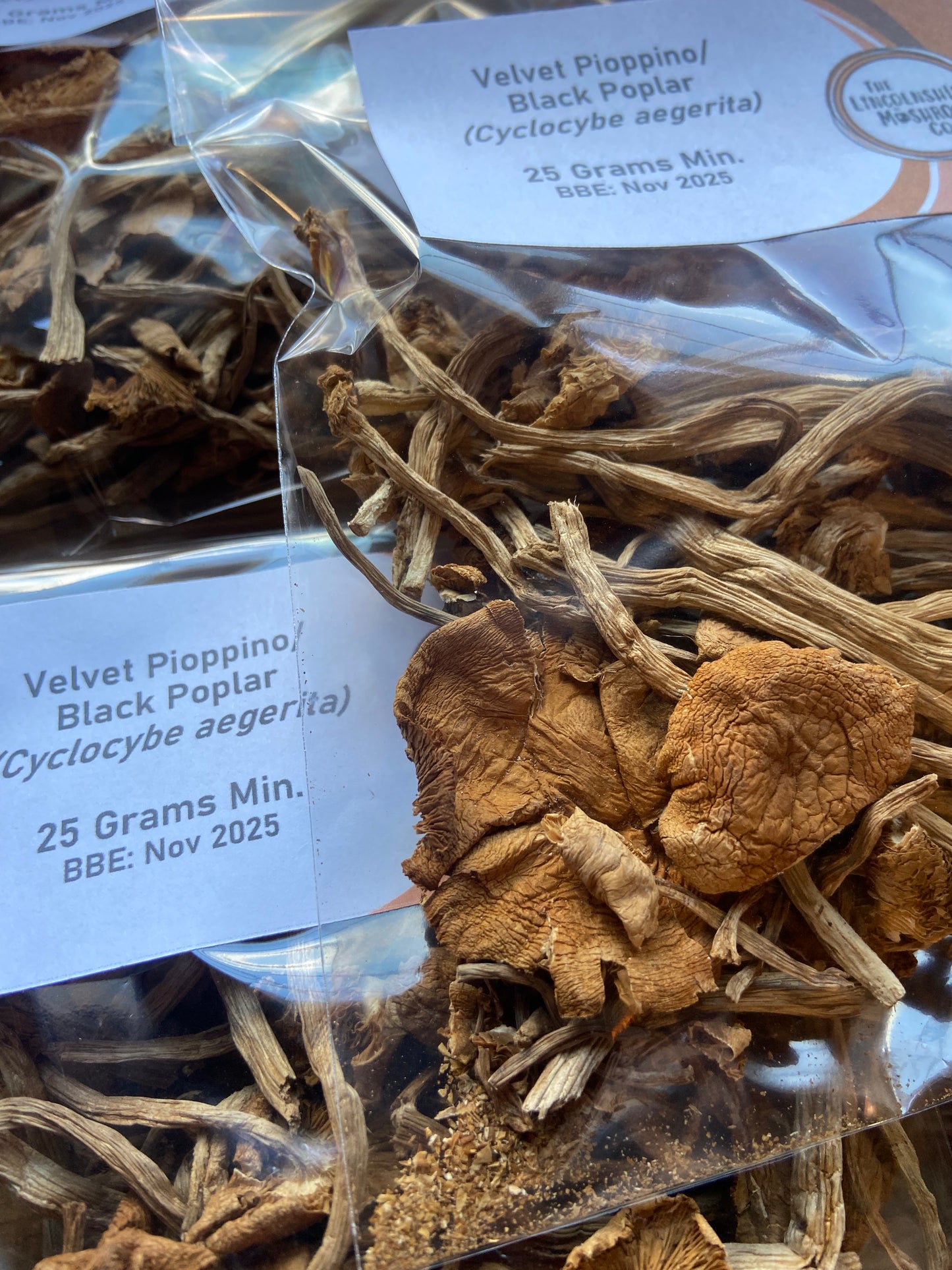 Dried Velvet Pioppino/ Black Poplar (Cyclocybe Aegerita) 25g Bag