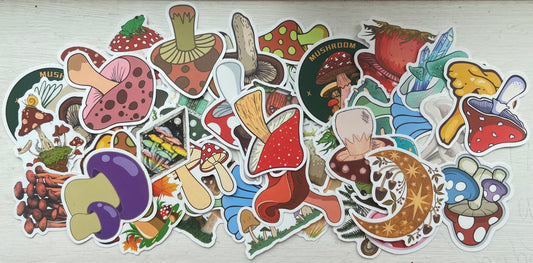 Fungi Stickers (50 pack)