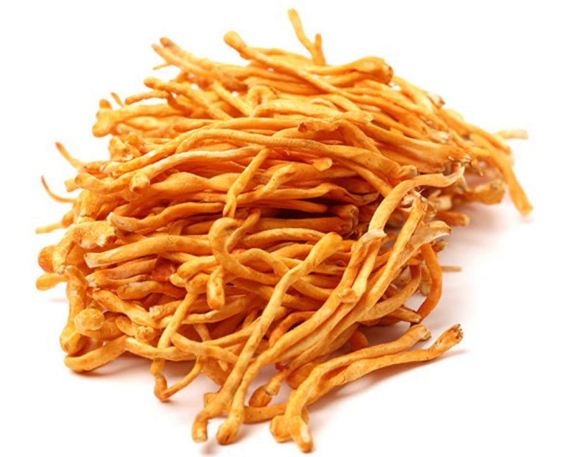 Dried Cordyceps (Cordyceps militaris)