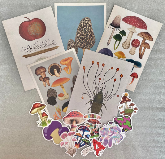 Mushroom Postcards & Stickers Pack